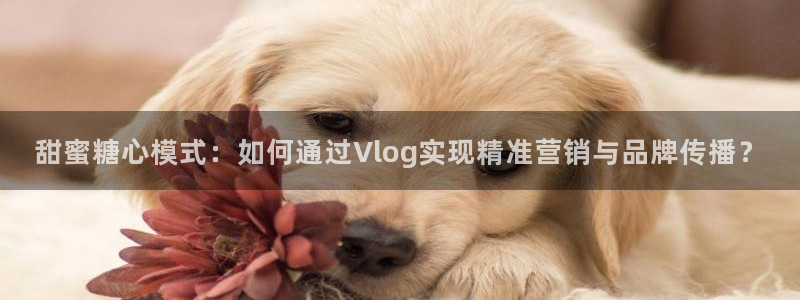 心糖vlog最美：甜蜜糖心模式：如何通过