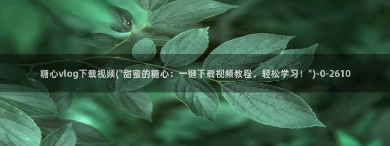 t糖心vlog：糖心vlog下载视频(\