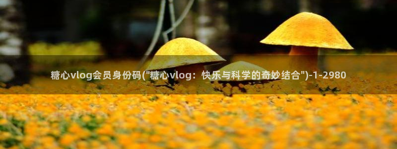 麻豆tv糖心vlog：糖心vlog会员身份码(\