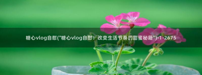 糖心vlog污ios：糖心vlog自慰(