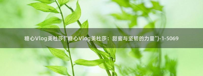 糖心vlog种子