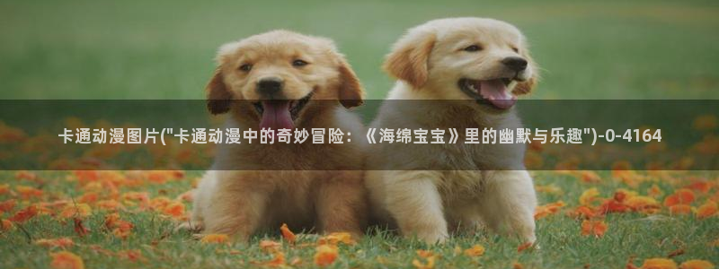 黄片动漫：卡通动漫图片(\