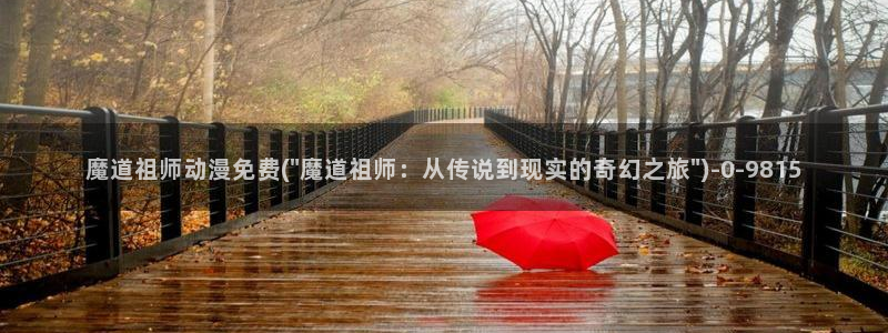 邪恶动漫：魔道祖师动漫免费(\
